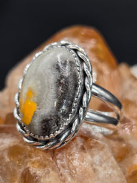 Bumblebee Jasper